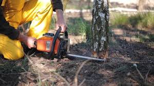 Best Lawn Irrigation Installation and Maintenance  in Union City, TN